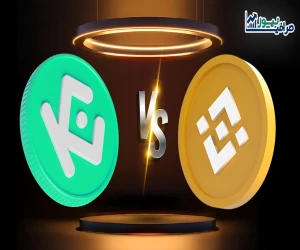 همه چیز درباره بایننسکوین