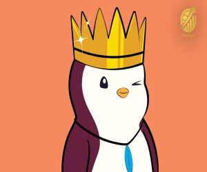 پاجی پنگوئن چیست ؟