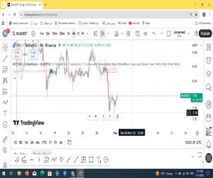 الگوی دابل باتم